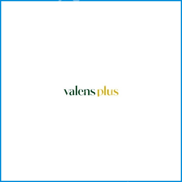 Valens Plus — 2+1 plan çizimi