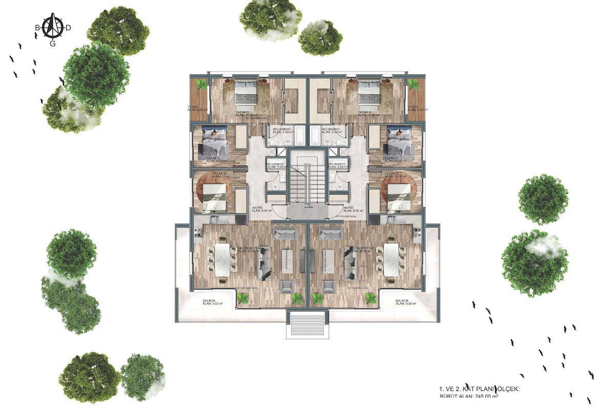 Doğanköy Olives — 3+1 plan çizimi